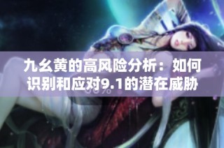 九幺黄的高风险分析：如何识别和应对9.1的潜在威胁