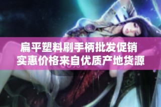 扁平塑料刷手柄批发促销 实惠价格来自优质产地货源