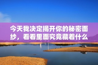 今天我决定揭开你的秘密面纱，看看里面究竟藏着什么
