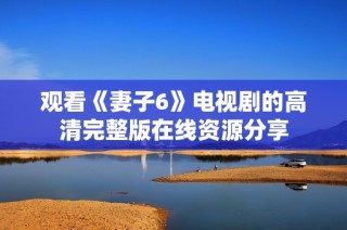 观看《妻子6》电视剧的高清完整版在线资源分享