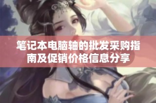 笔记本电脑轴的批发采购指南及促销价格信息分享