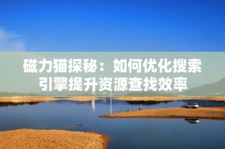 磁力猫探秘：如何优化搜索引擎提升资源查找效率