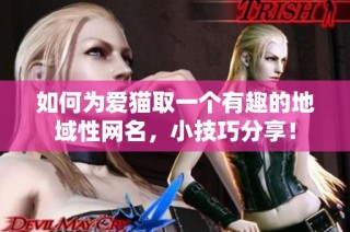 如何为爱猫取一个有趣的地域性网名，小技巧分享！