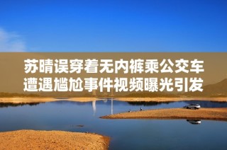 苏晴误穿着无内裤乘公交车遭遇尴尬事件视频曝光引发热议