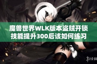 魔兽世界WLK版本盗贼开锁技能提升300后该如何练习技巧解析