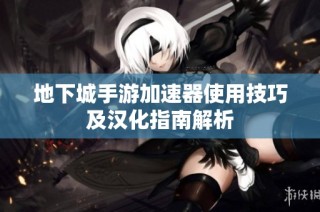 地下城手游加速器使用技巧及汉化指南解析