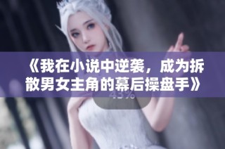 《我在小说中逆袭，成为拆散男女主角的幕后操盘手》