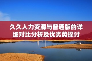 久久人力资源与普通版的详细对比分析及优劣势探讨