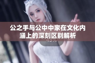 公之手与公中中家在文化内涵上的深刻区别解析