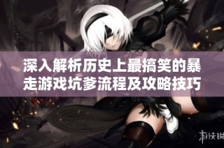 深入解析历史上最搞笑的暴走游戏坑爹流程及攻略技巧