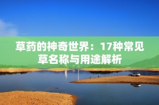 草药的神奇世界：17种常见草名称与用途解析
