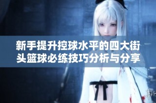 新手提升控球水平的四大街头篮球必练技巧分析与分享