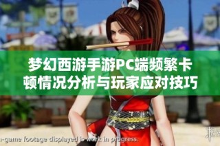 梦幻西游手游PC端频繁卡顿情况分析与玩家应对技巧