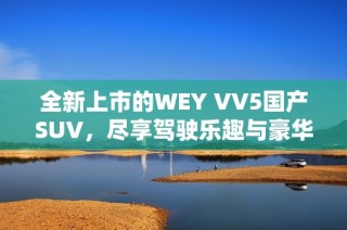 全新上市的WEY VV5国产SUV，尽享驾驶乐趣与豪华配置