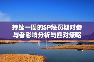 持续一周的SP惩罚期对参与者影响分析与应对策略