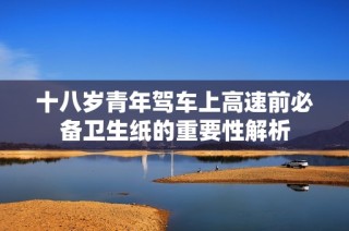 十八岁青年驾车上高速前必备卫生纸的重要性解析