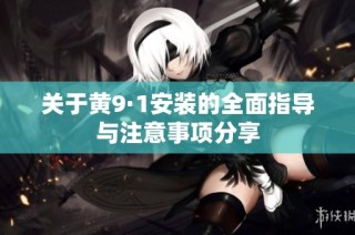 关于黄9·1安装的全面指导与注意事项分享