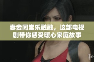 妻妾同堂乐融融，这部电视剧带你感受暖心家庭故事