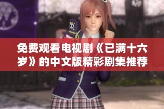 免费观看电视剧《已满十六岁》的中文版精彩剧集推荐与解析