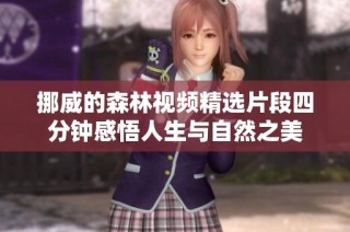 挪威的森林视频精选片段四分钟感悟人生与自然之美