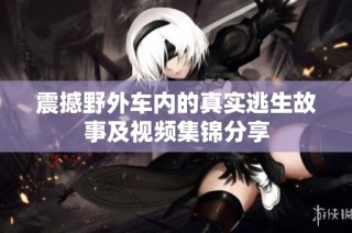 震撼野外车内的真实逃生故事及视频集锦分享