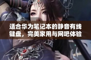 适合华为笔记本的静音有线键盘，完美家用与网吧体验