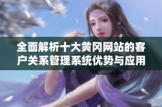 全面解析十大黄冈网站的客户关系管理系统优势与应用实例