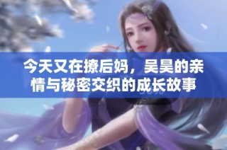 今天又在撩后妈，吴昊的亲情与秘密交织的成长故事