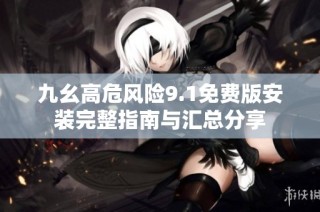 九幺高危风险9.1免费版安装完整指南与汇总分享