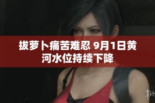 拔萝卜痛苦难忍 9月1日黄河水位持续下降
