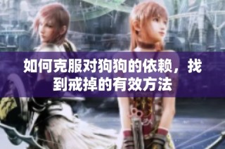 如何克服对狗狗的依赖，找到戒掉的有效方法