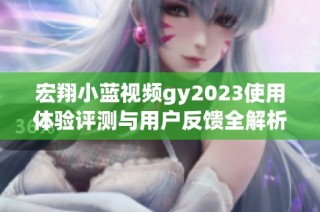 宏翔小蓝视频gy2023使用体验评测与用户反馈全解析