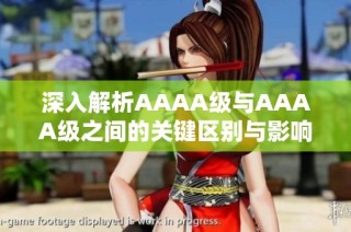 深入解析AAAA级与AAAA级之间的关键区别与影响