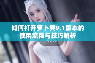 如何打开萝卜黄9.1版本的使用流程与技巧解析