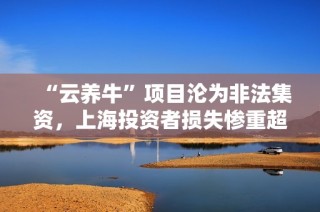 “云养牛”项目沦为非法集资，上海投资者损失惨重超5亿
