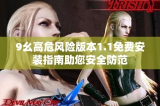9幺高危风险版本1.1免费安装指南助您安全防范