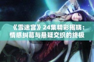 《雪迷宫》24集精彩揭晓：情感纠葛与悬疑交织的终极对决