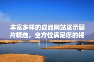 丰富多样的成品网站展示图片精选，全方位满足您的视觉需求