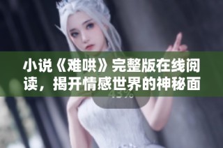 小说《难哄》完整版在线阅读，揭开情感世界的神秘面纱