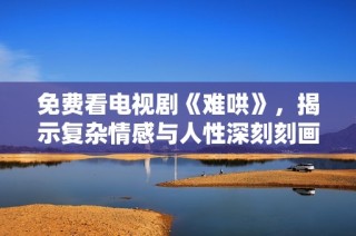 免费看电视剧《难哄》，揭示复杂情感与人性深刻刻画