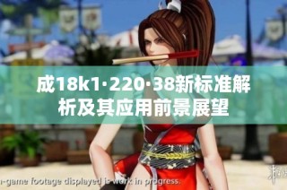 成18k1·220·38新标准解析及其应用前景展望