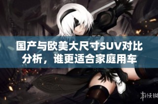 国产与欧美大尺寸SUV对比分析，谁更适合家庭用车