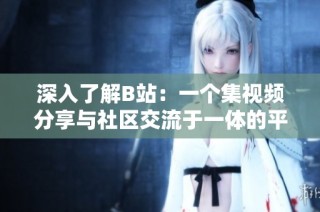 深入了解B站：一个集视频分享与社区交流于一体的平台