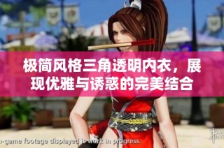 极简风格三角透明内衣，展现优雅与诱惑的完美结合