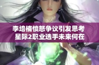 李培楠愤怒争议引发思考 星际2职业选手未来何在