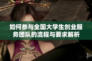 如何参与全国大学生创业服务团队的流程与要求解析