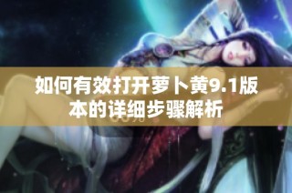 如何有效打开萝卜黄9.1版本的详细步骤解析