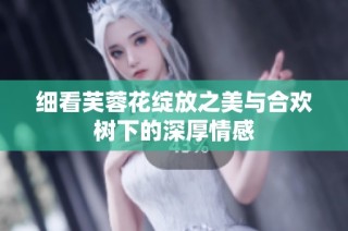细看芙蓉花绽放之美与合欢树下的深厚情感
