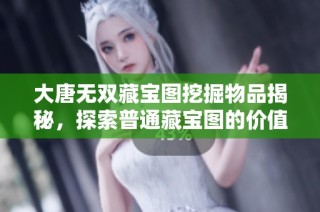 大唐无双藏宝图挖掘物品揭秘，探索普通藏宝图的价值与收获实用指南