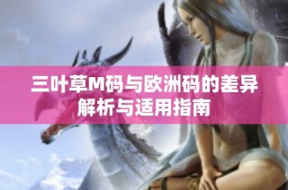 三叶草M码与欧洲码的差异解析与适用指南